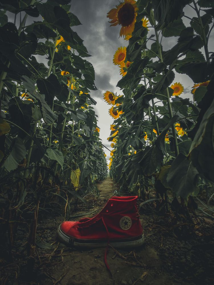 Photograph by Edwin Mijares