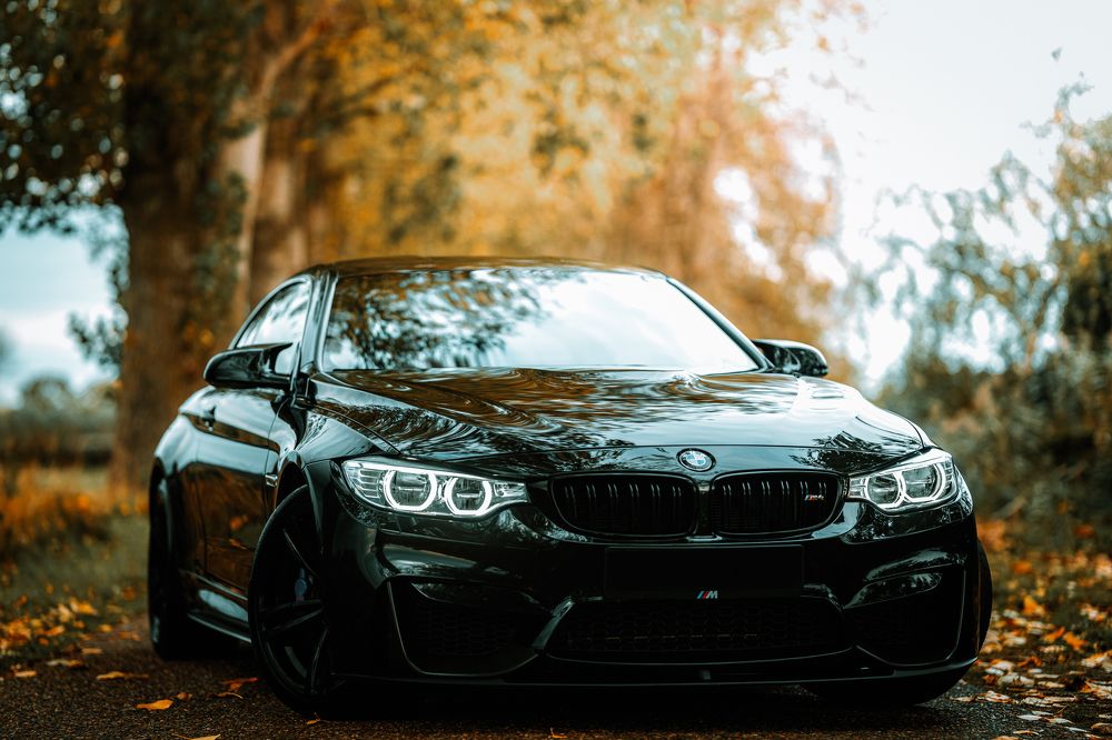 Photograph by Pavel Anisimenko