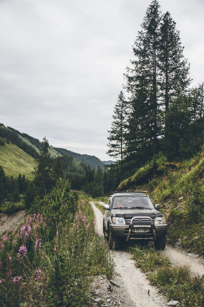 Photograph by Родионова Ксения