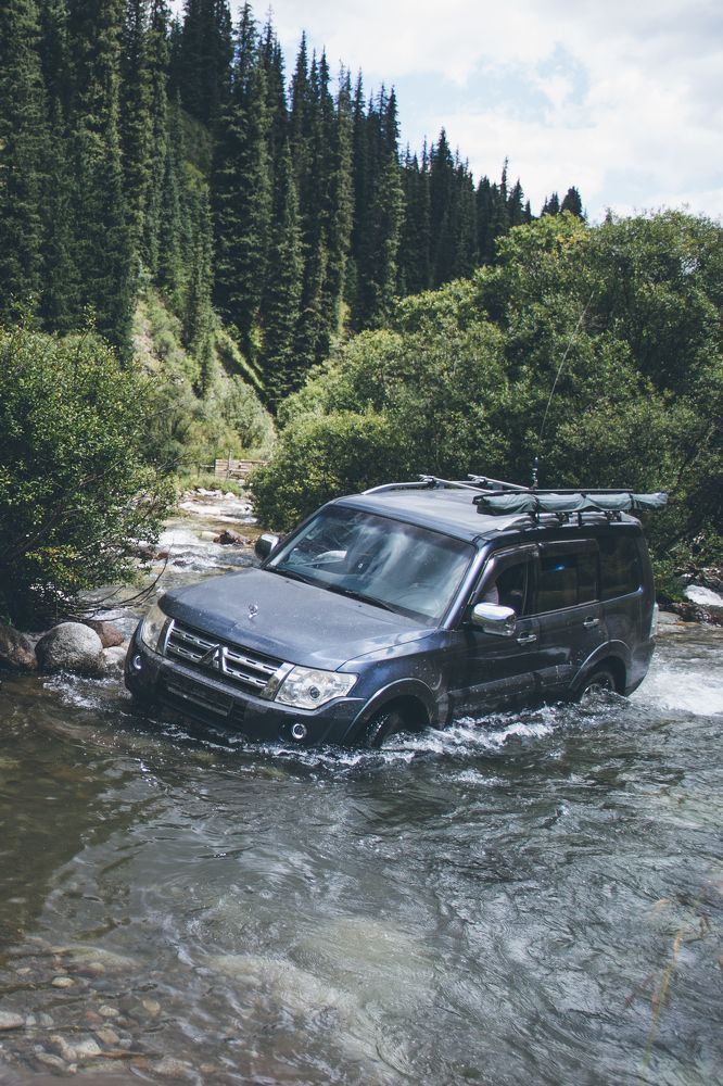 Photograph by Родионова Ксения