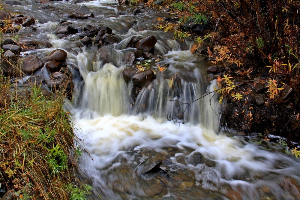 Photograph by Галина Искандарова