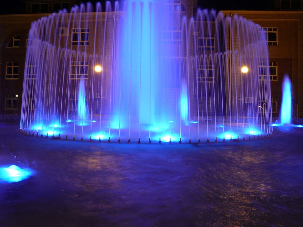 Фотография автора Анатолий Борисов