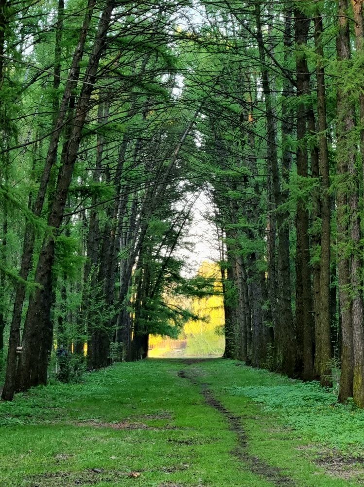 Photograph by Юрий Викторович