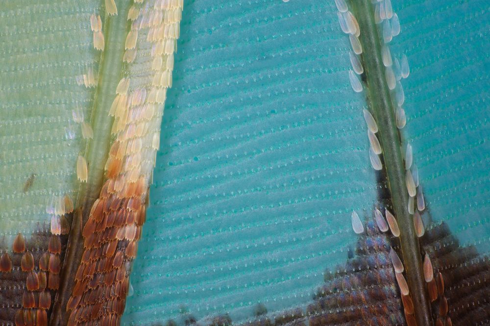 Photograph by 王锗