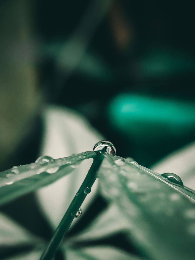 Water drop reflection