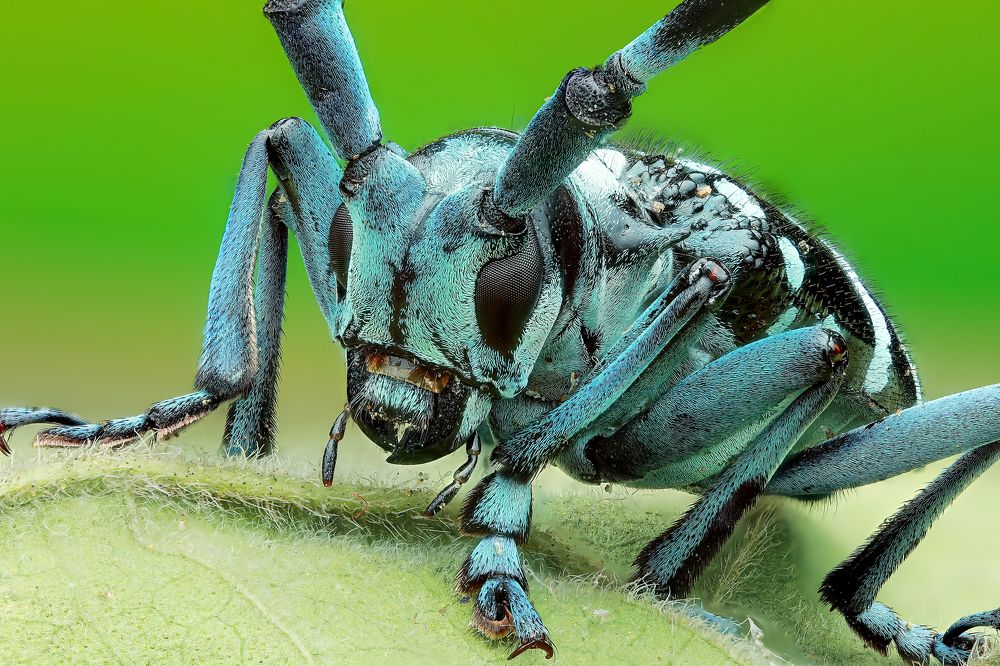 Photograph by Jacob Ng