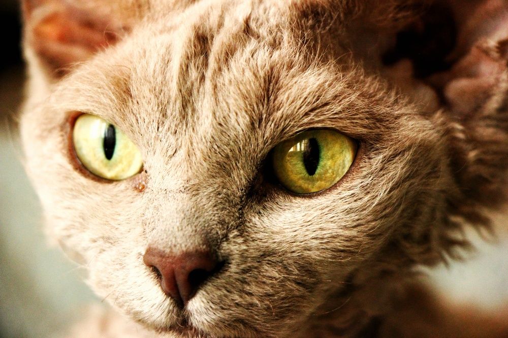 Photograph by Владимир Сушкин