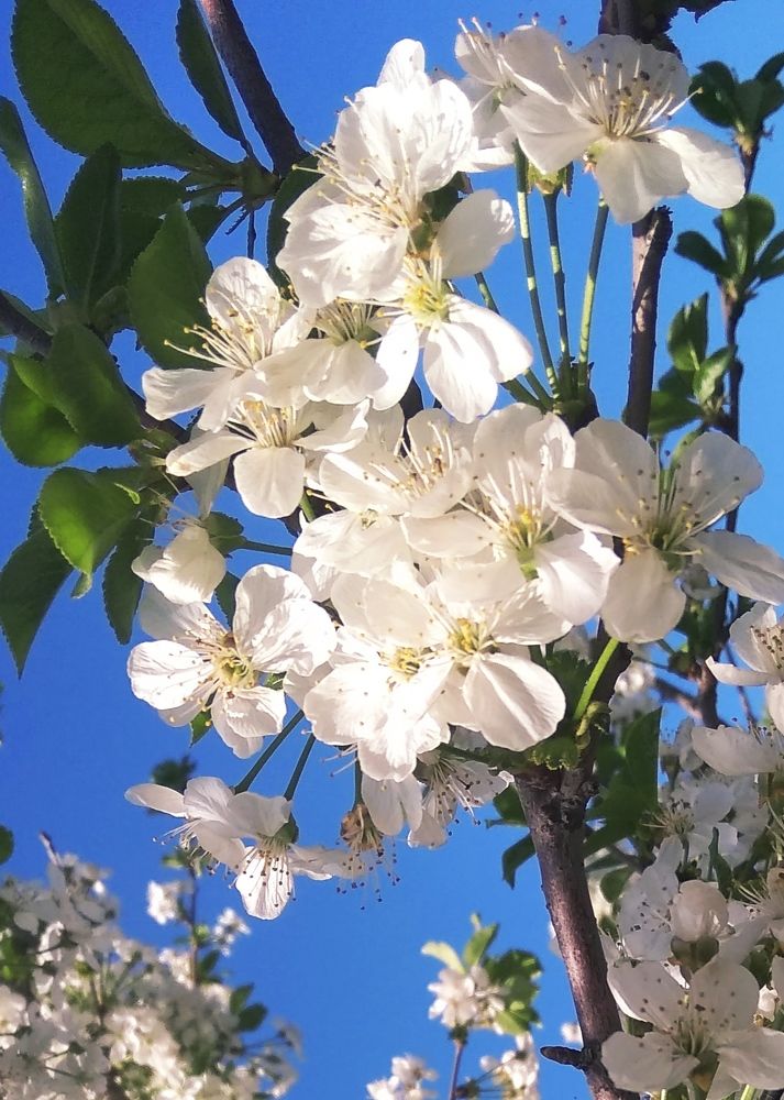 Photograph by Irinochka Zorina