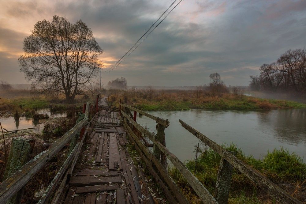 Photograph by Литвинов Александр