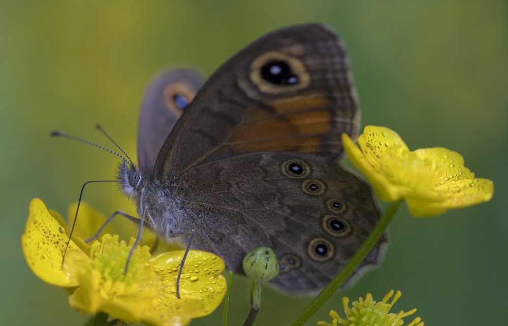 Фотография автора Andrey Pristyazhnyuk