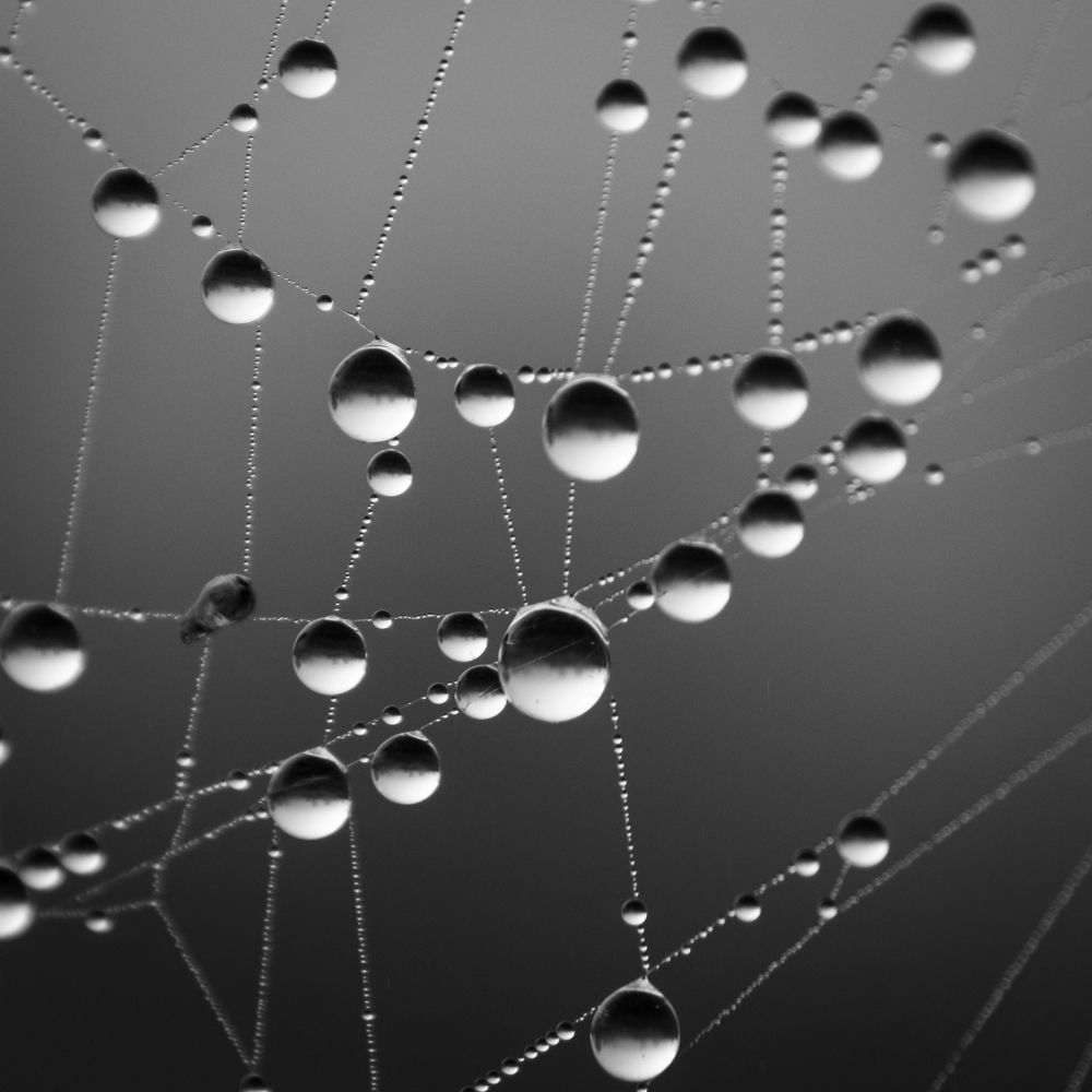 Photograph by Татьяна Романова