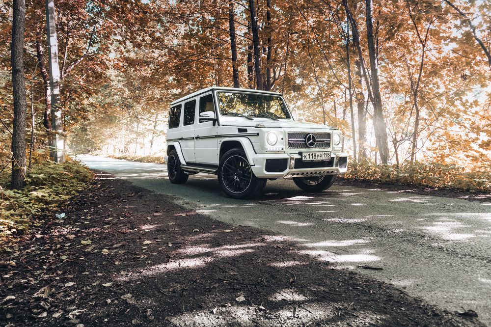 Photograph by Николай Пальцев