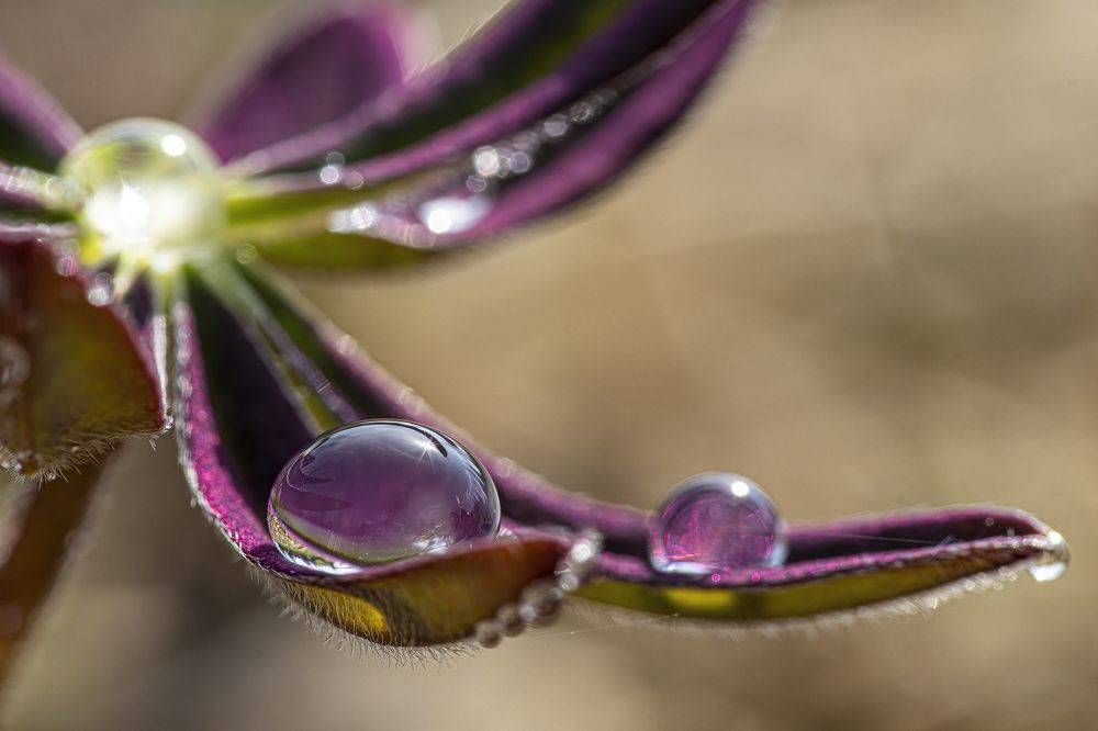 Photograph by Юрий Чернов