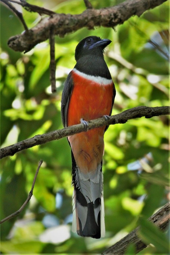 Photograph by Nikhil Joshi