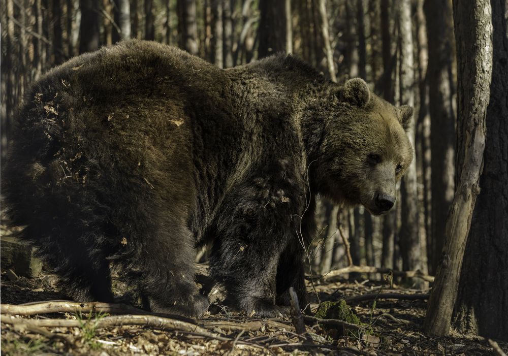 Photograph by Taтьяна Войлокова