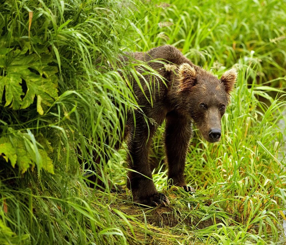 Photograph by Алексей Романов