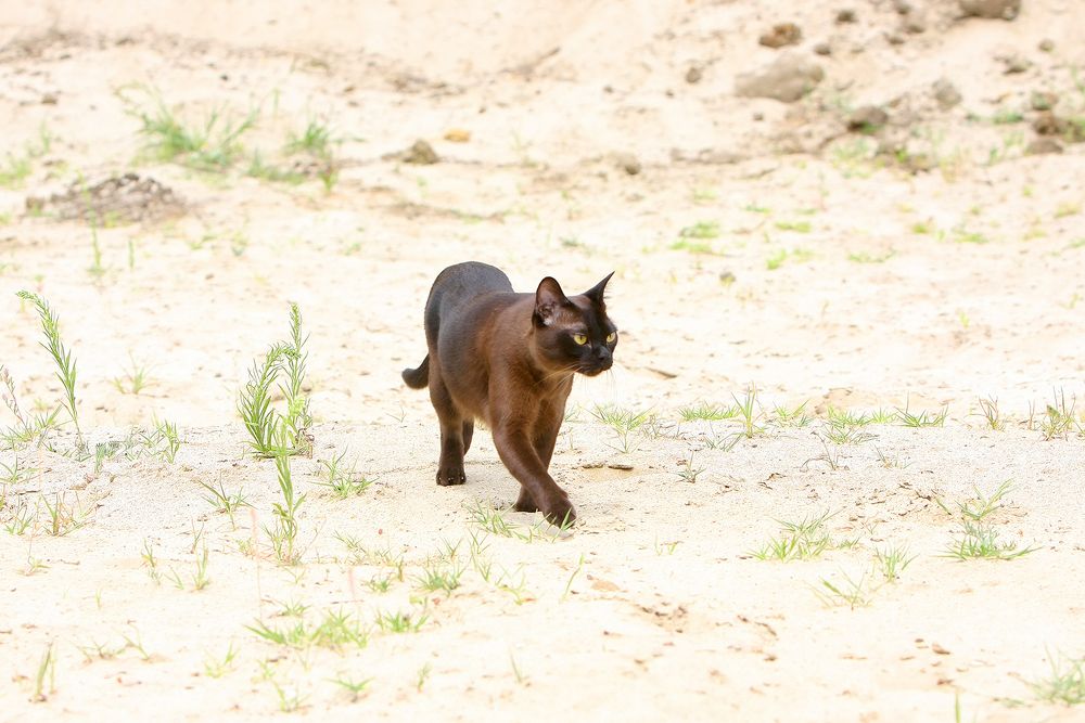 Фотография автора Надежда Лисицына