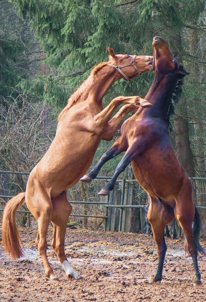 Photograph by Юрий Спасенников