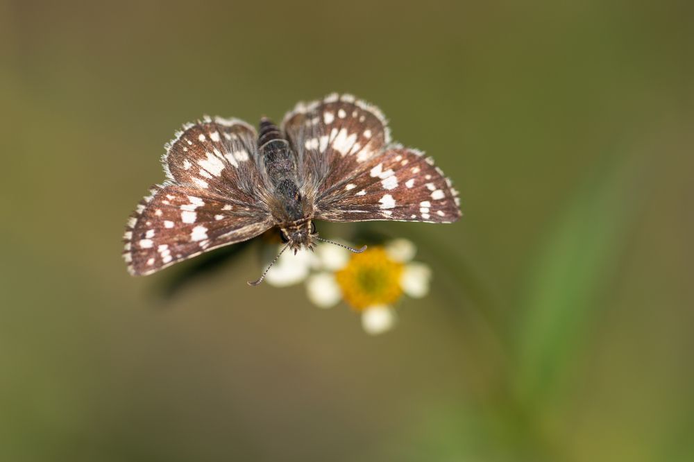 Photograph by MARÍA CECILIA REY