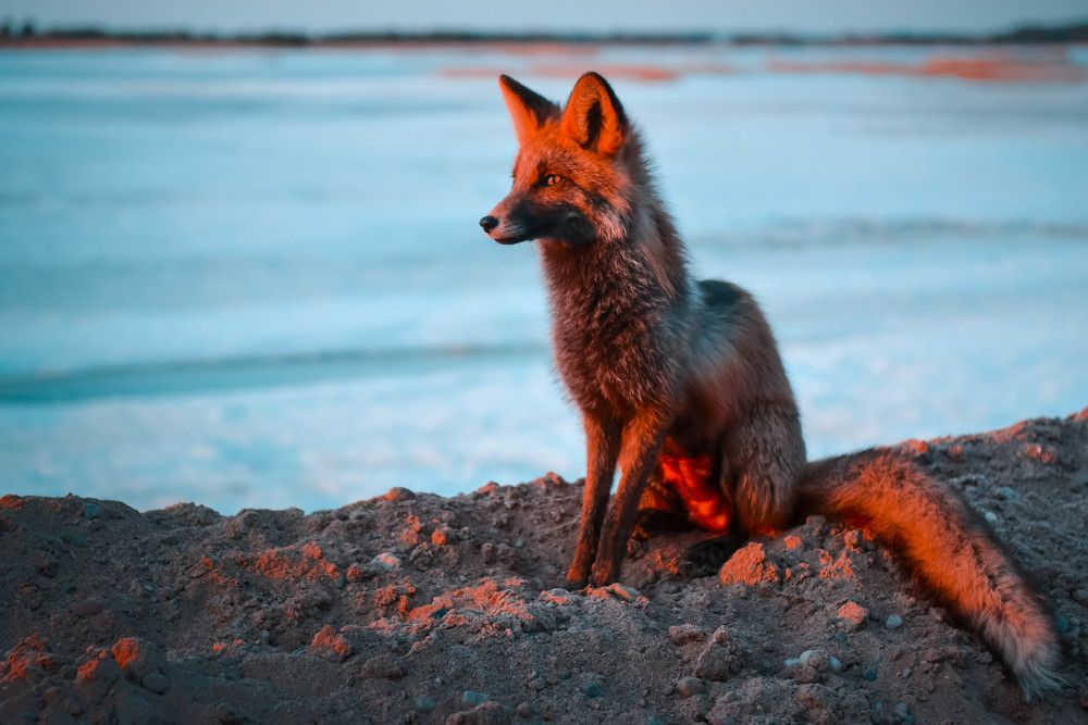 Photograph by Алексей Ильин