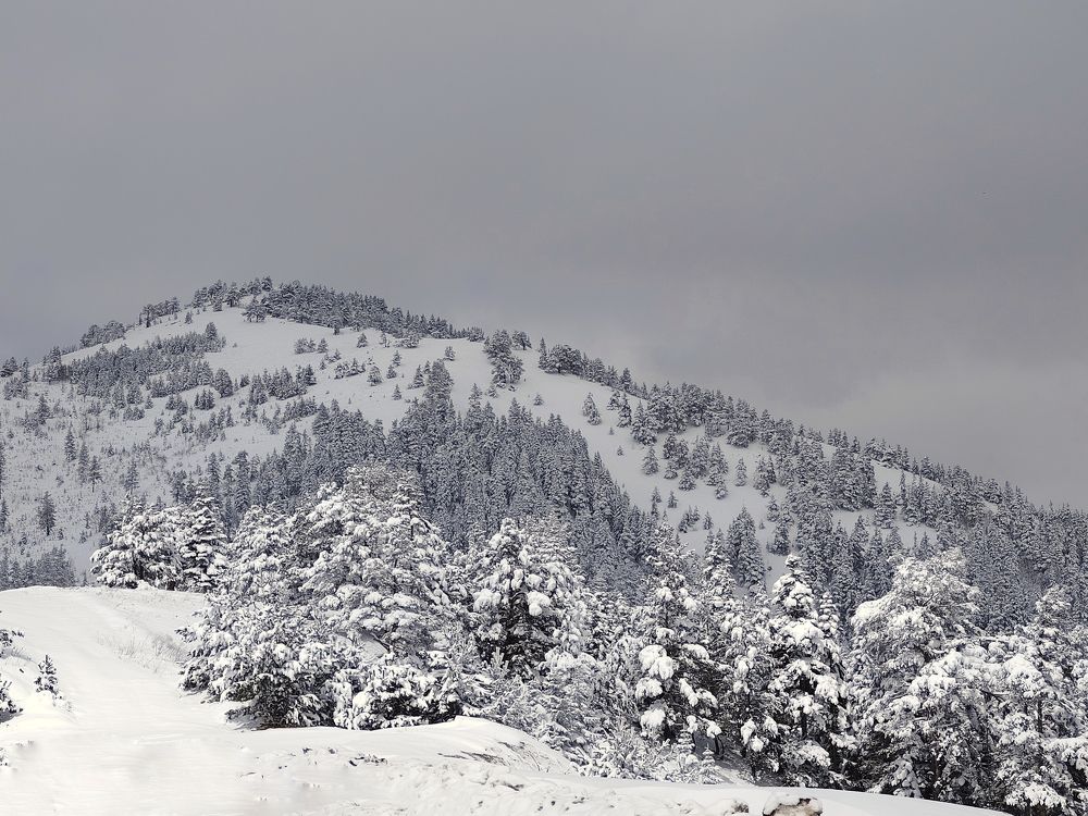 Photograph by Светлана Смирнова