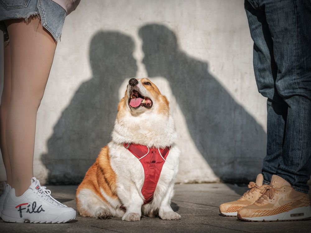 Photograph by 宠物摄影师狗哥