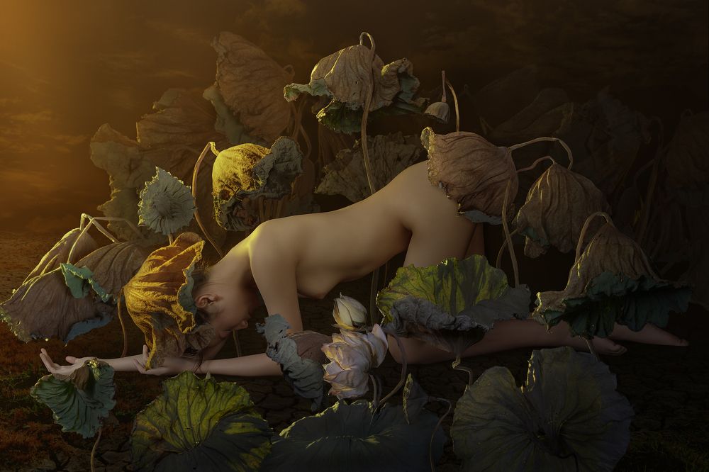 Photograph by Lê Hồng Tuấn