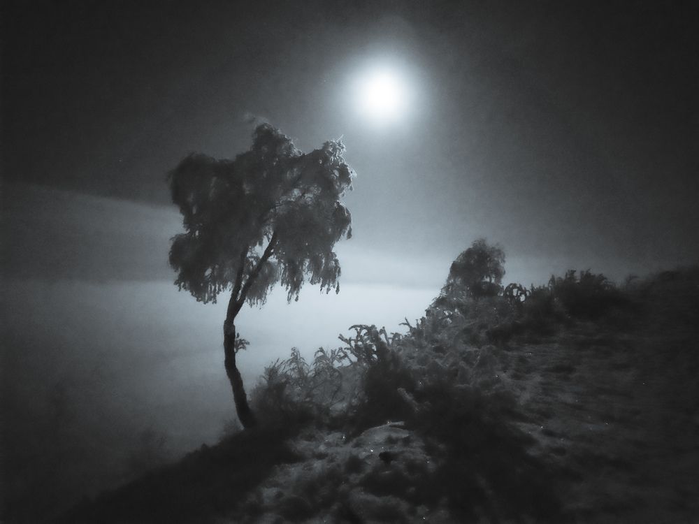 Photograph by Kostantin Belonogov