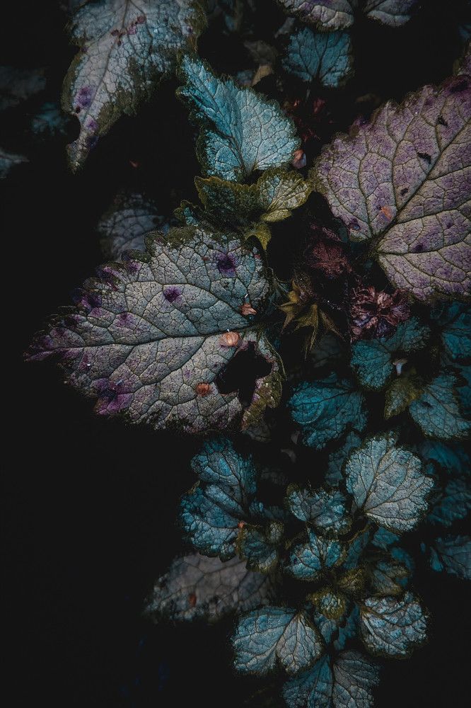 Photograph by Дарья Макаревич