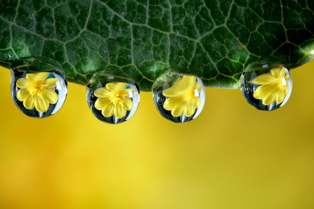 Photograph by Jacob Ng