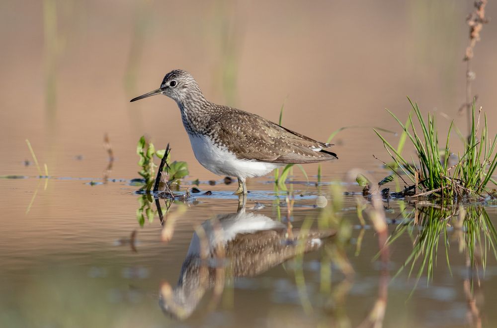 Photograph by Павел Краснослободцев