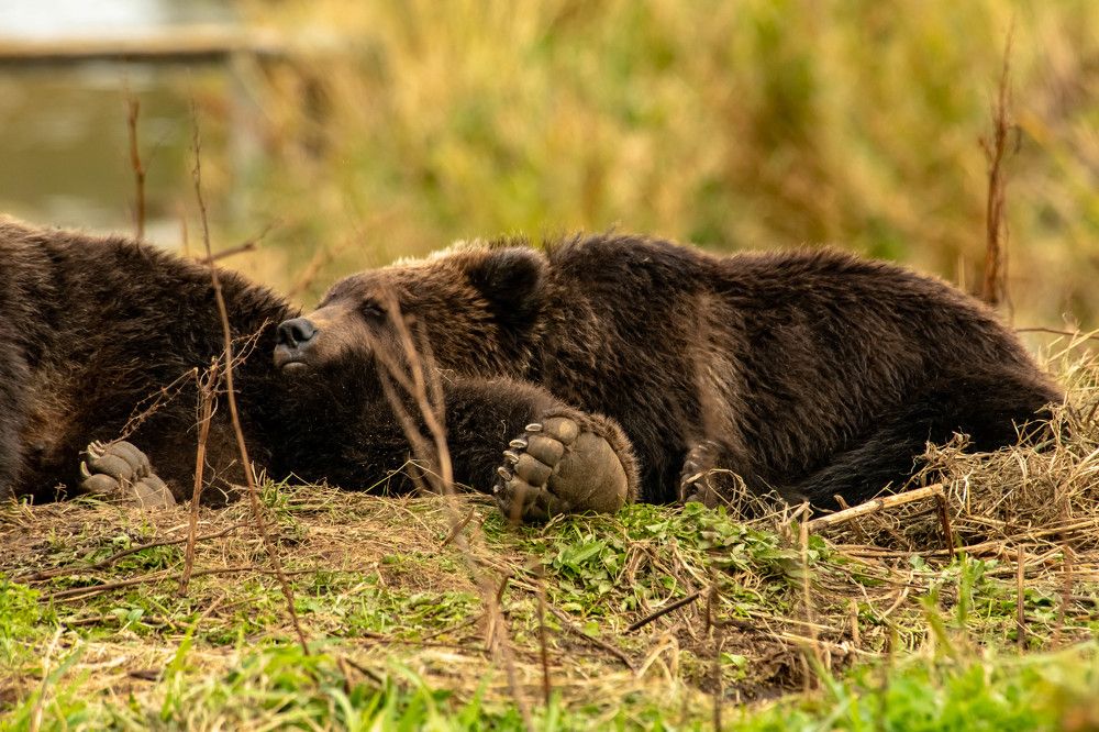 Photograph by Анна