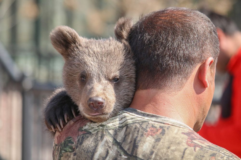 Фотография автора Vahid Basiri