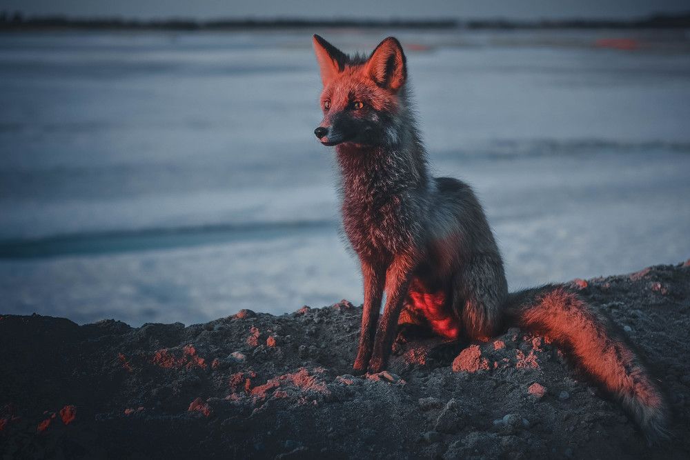 Photograph by Алексей Ильин