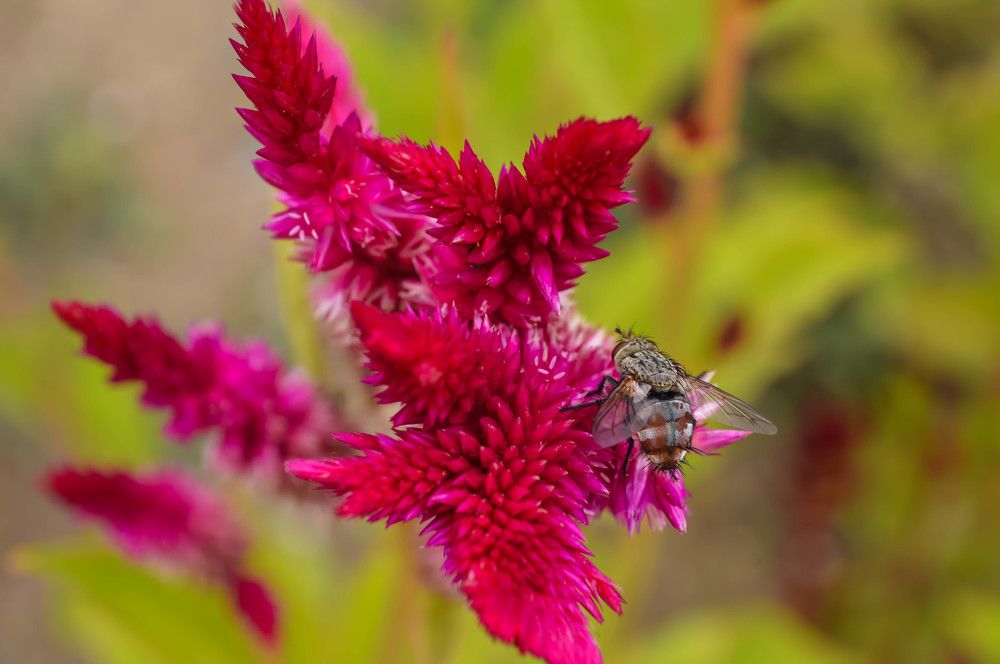 Photograph by Елена