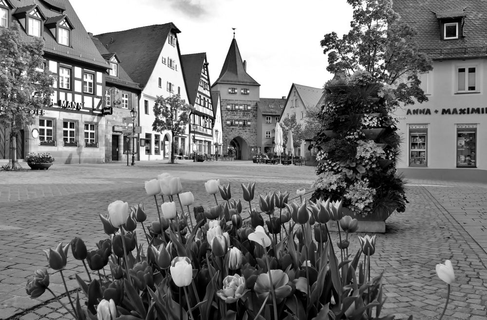 Photograph by backareva irina