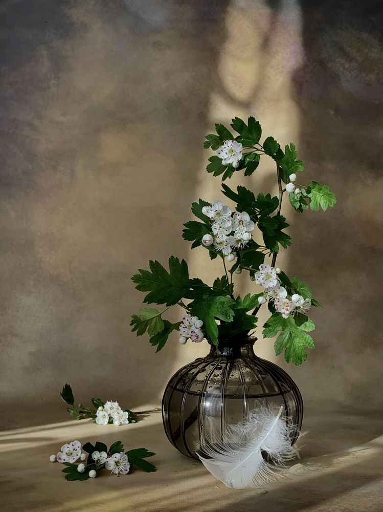 Photograph by Татьяна Семёнова