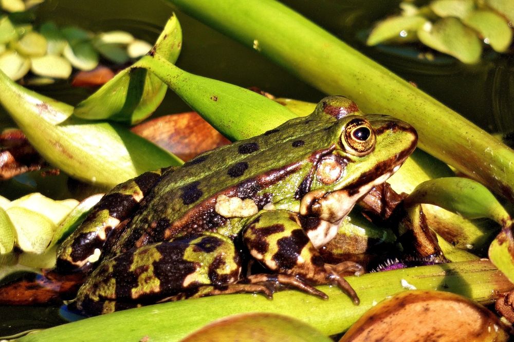 Photograph by backareva irina