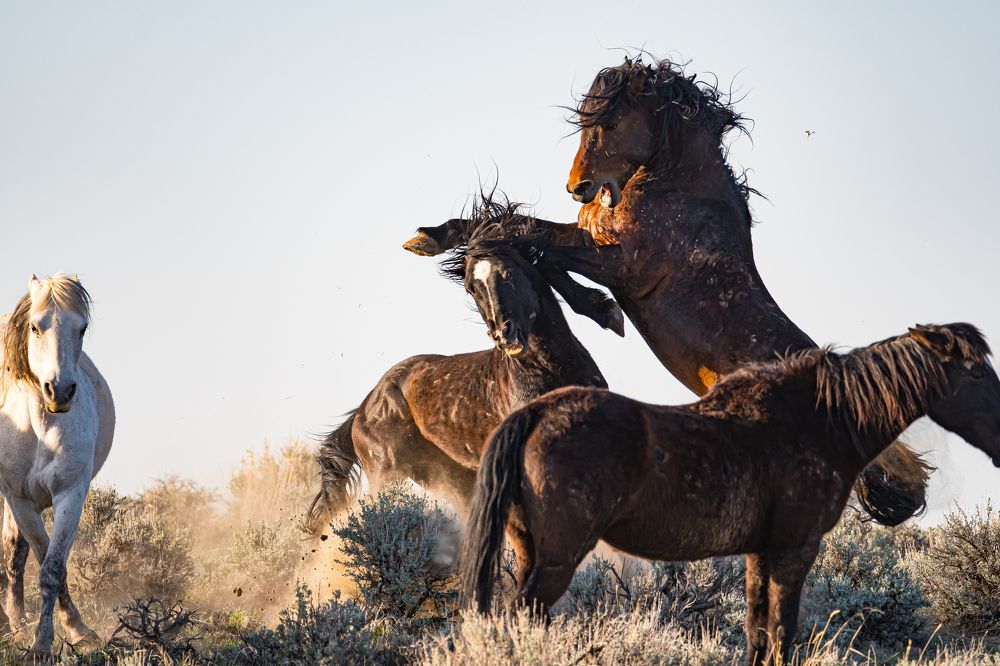 Photograph by Tony Douzenis