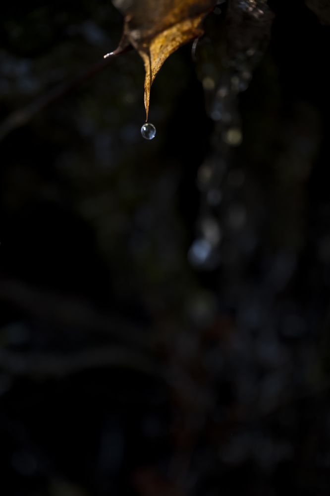 Photograph by Alexandre de Pommereau