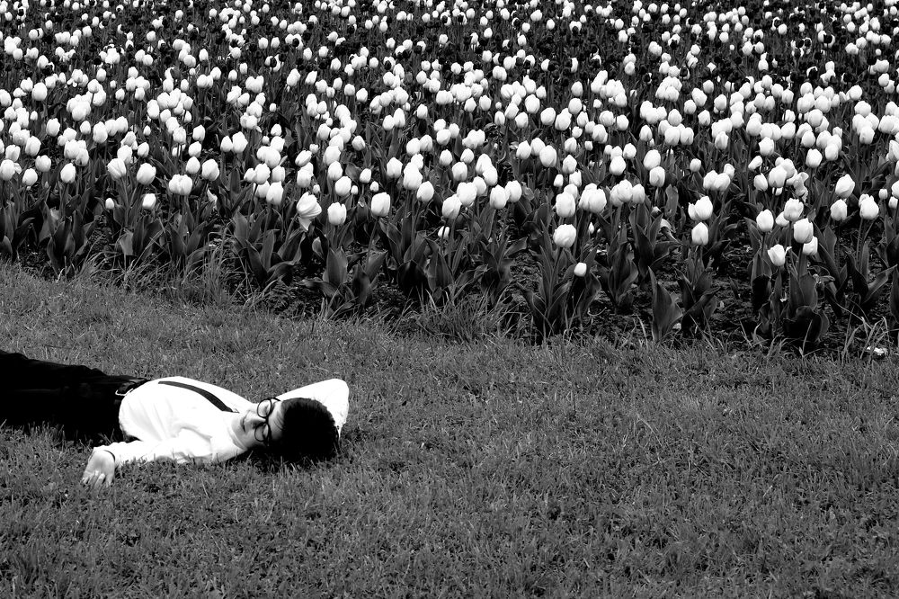 Photograph by Пиленгас Александр