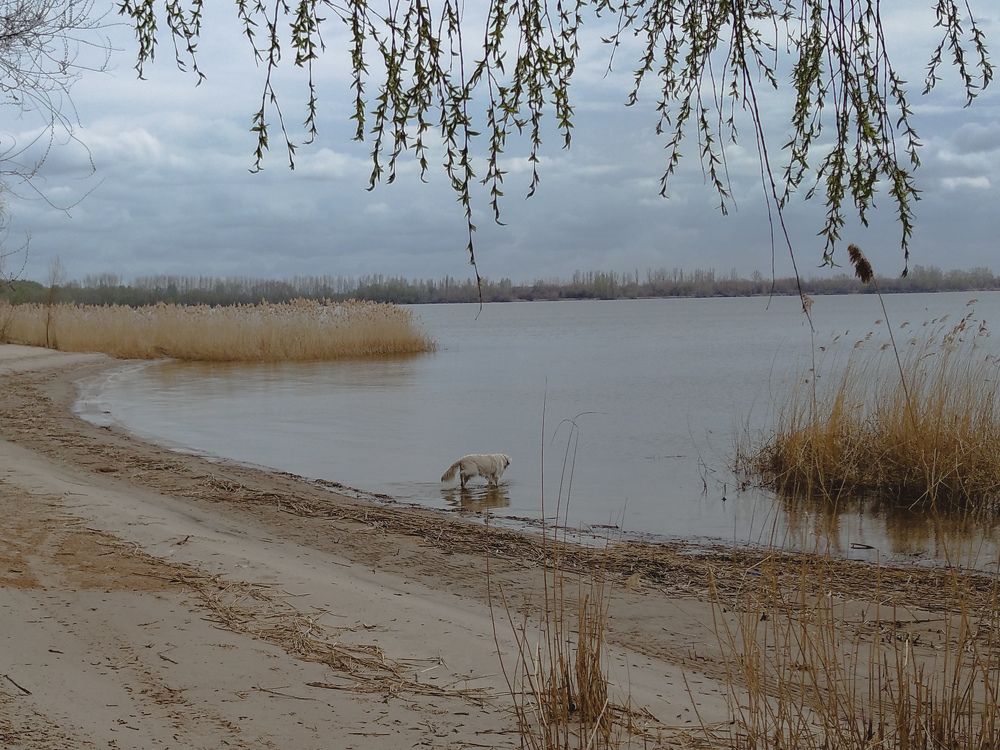 Photograph by Елена Глуховкина