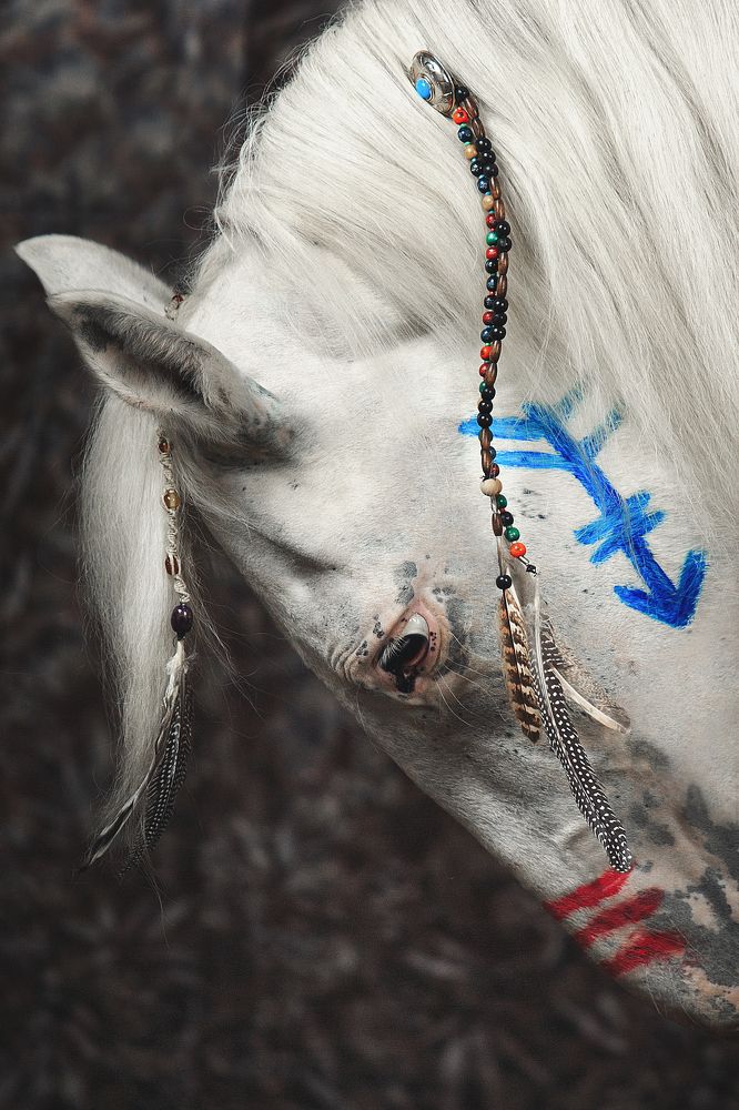 Лошади индейцев