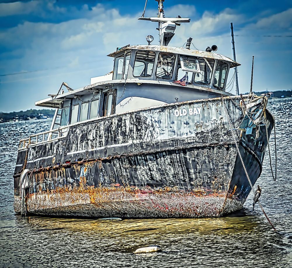 Фотография автора Ray Asiala