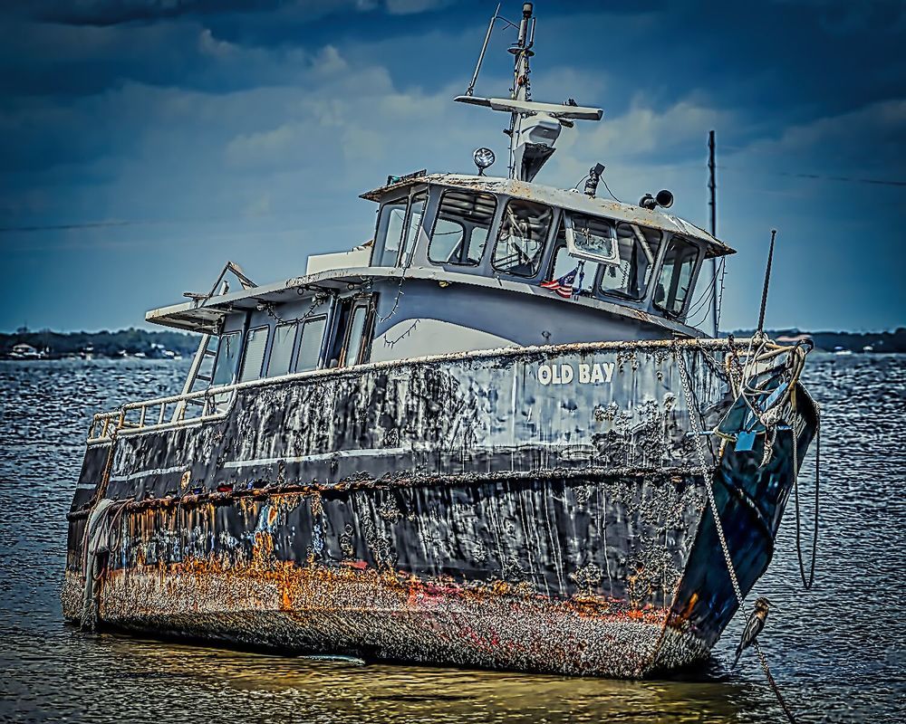 Фотография автора Ray Asiala