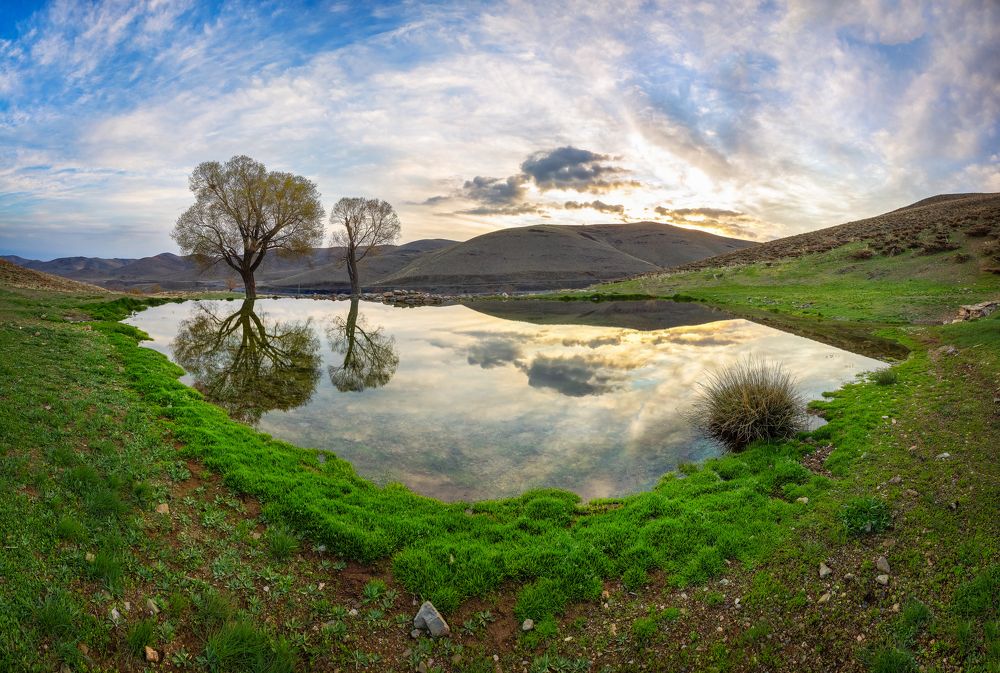 Фотография автора majid arab