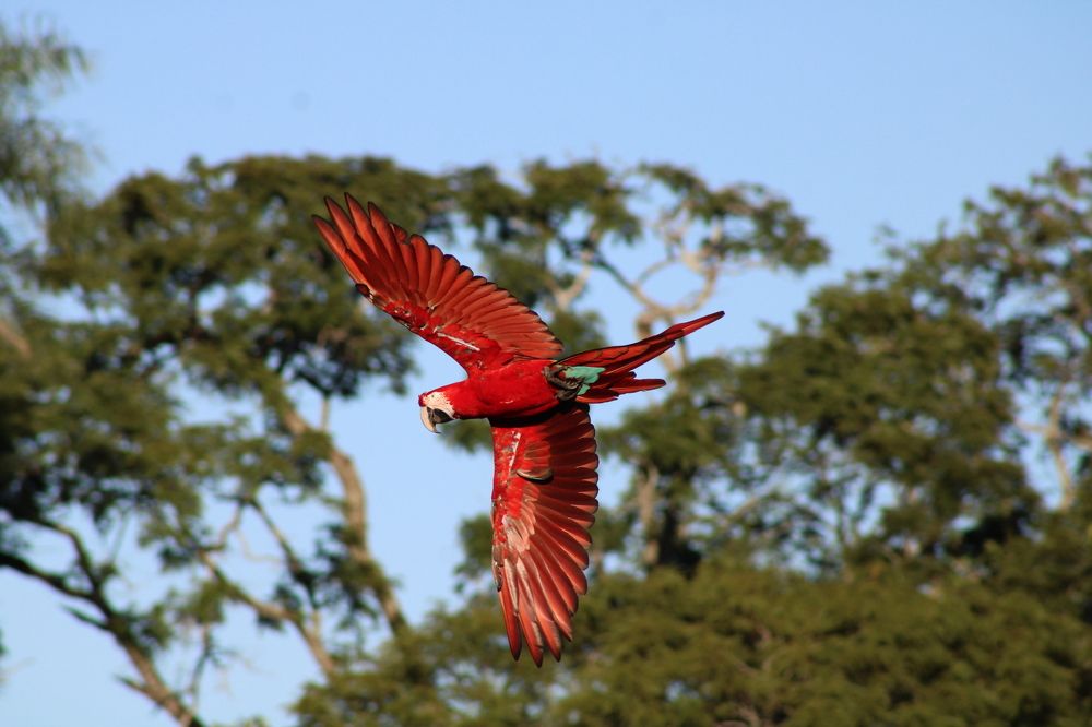 Photograph by Salete Cinti de Lima