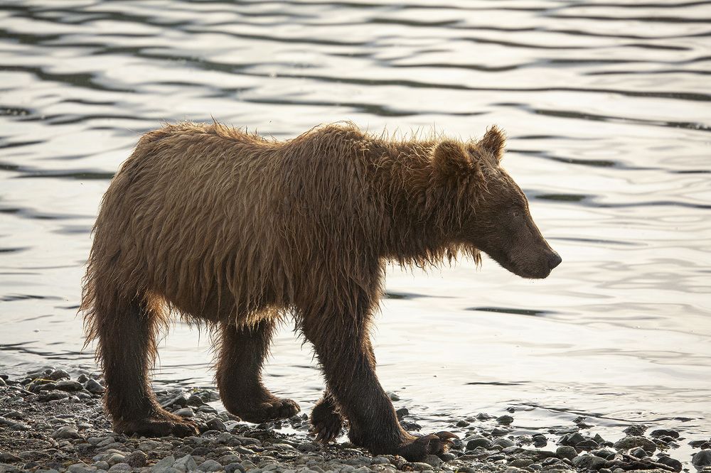Photo #9101476