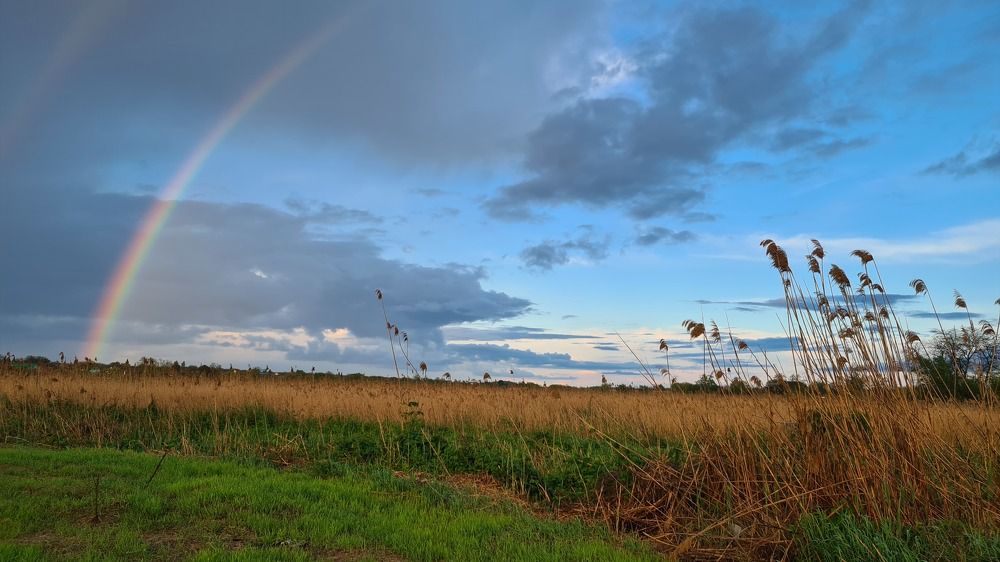 Photograph by Елена Кольцина