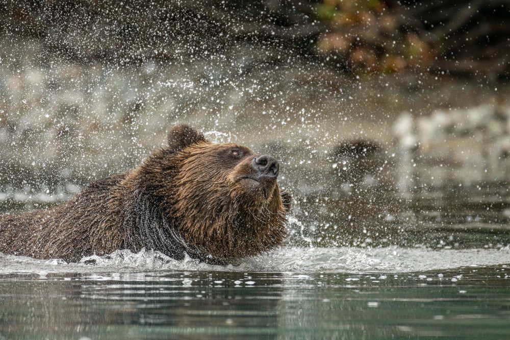 Photograph by Sunny Saha Pramanick